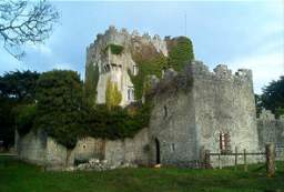 Cloghan Castle -   - 0055 - 20021201.jpg